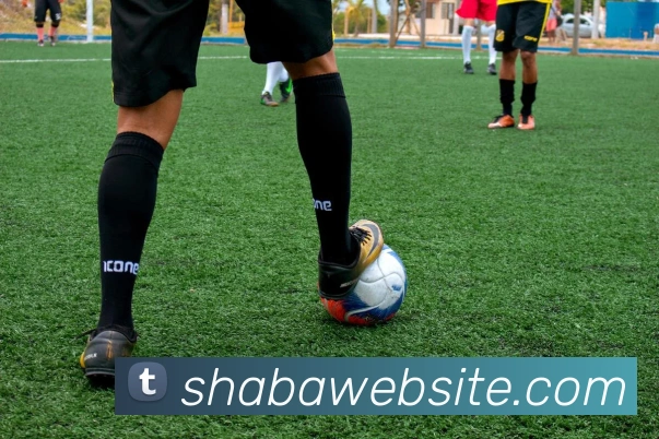 多媒体互动体验